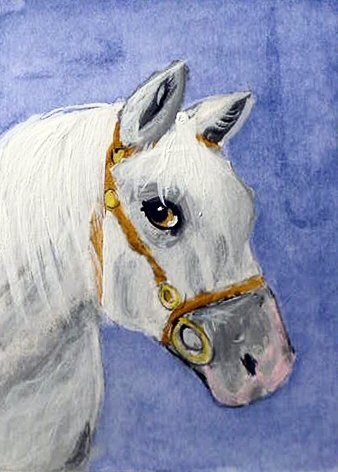 ACEO Andalusian Horse