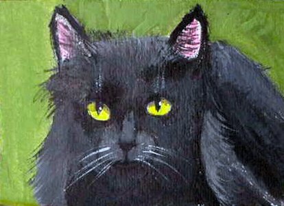 ACEO Black Cat
