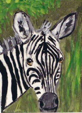 ACEO Zebra Face