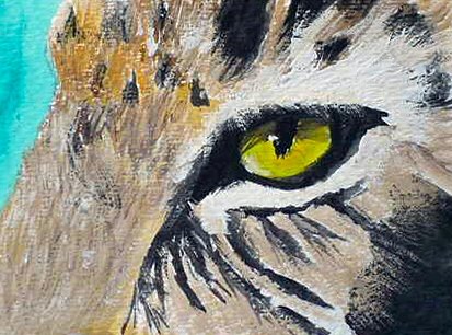 ACEO Leopard Eye