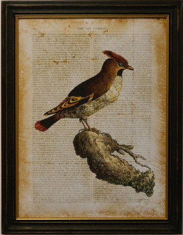 Antiquarian Bird III