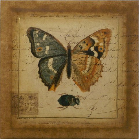 Postscript Butterfly I