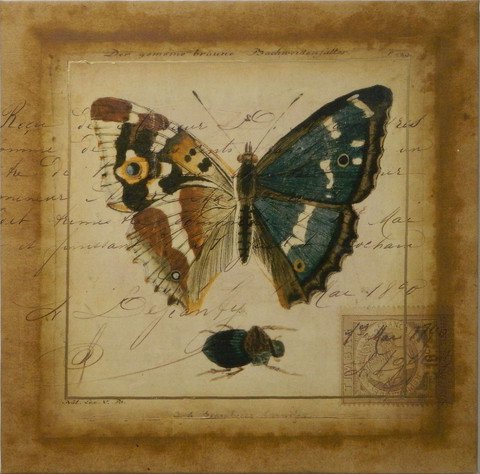 Postscript Butterfly II