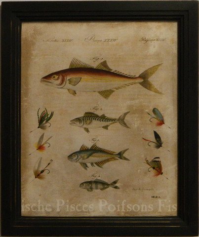 Pisces II