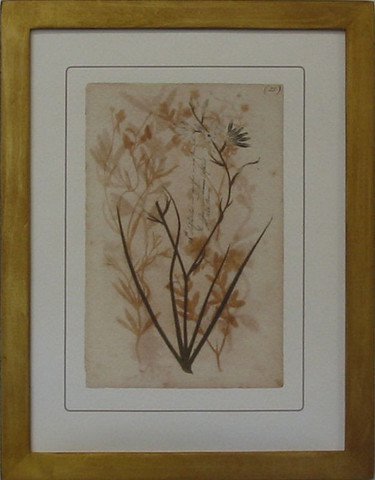 Pressed Botanical 22