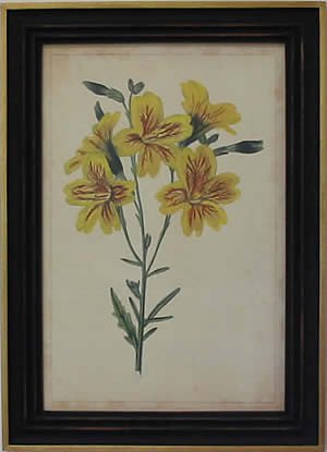 Curtis Blooms Yellow IV - Black Frame