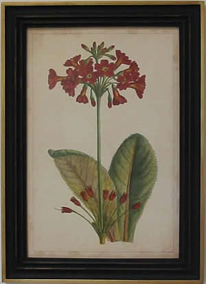 Curtis Blooms Red I - Black Frame
