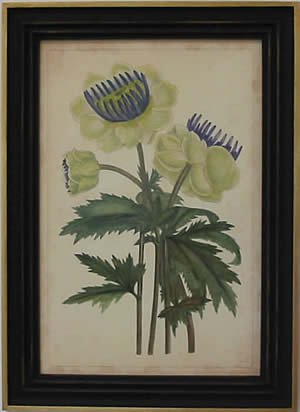 Curtis Blooms White III - Black Frame