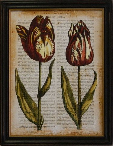 Antiquarian Tulip III