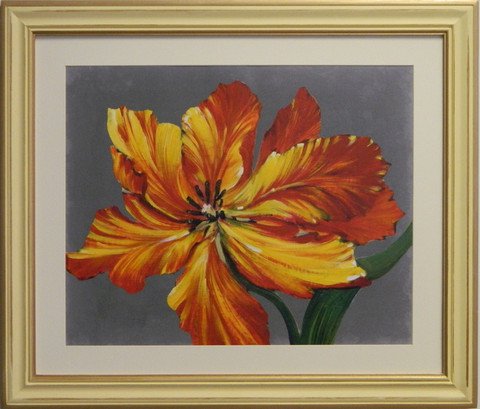 Tulip Portrait I