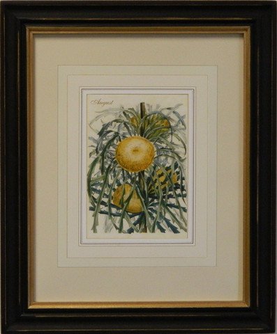 Flower of the Month - August