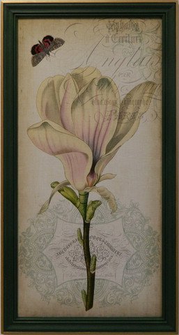 Cartouche & Floral I
