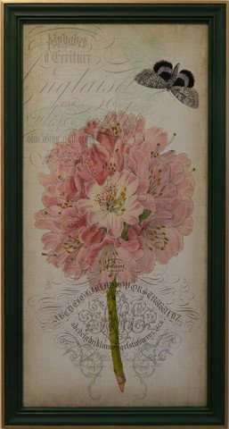 Cartouche & Floral II