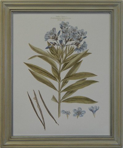 Bashful Blue Floral III