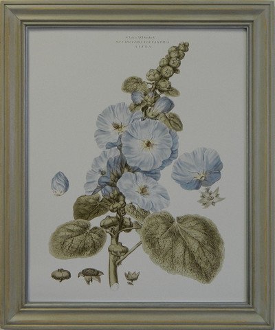 Bashful Blue Floral IV
