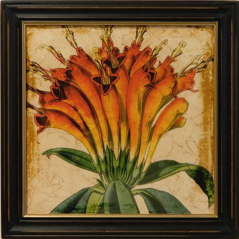 VibrantFloral IV