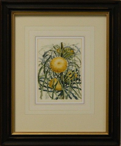 Vintage English Botanical Study Yellow V