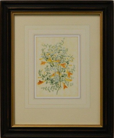 Vintage English Botanical Study Yellow VI
