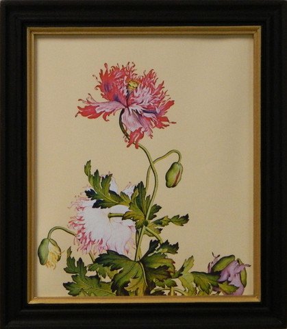 Erna's Botanical I