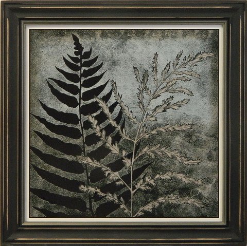 Illuminated Fern I