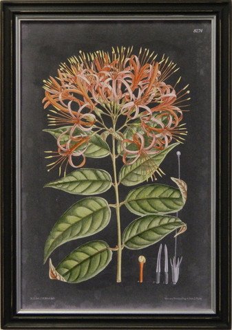 Vintage Slate Botanical I