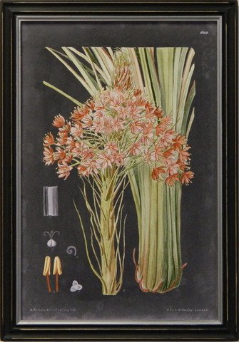Vintage Slate Botanical III