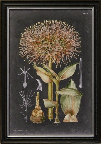 Vintage Slate Botanical IV
