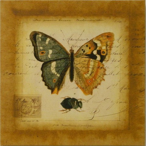 Small Postscript Butterfly I