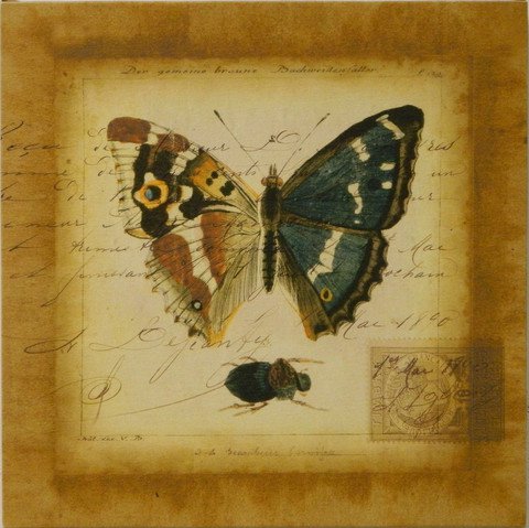 Small Postscript Butterfly II