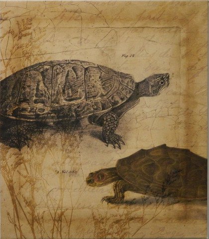 Tandem Tortoise I