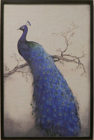 Blue Peacock II