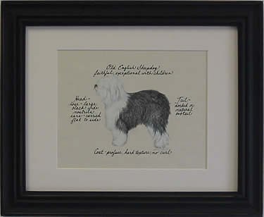 Old English Sheepdog