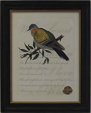 Romantic Dove I