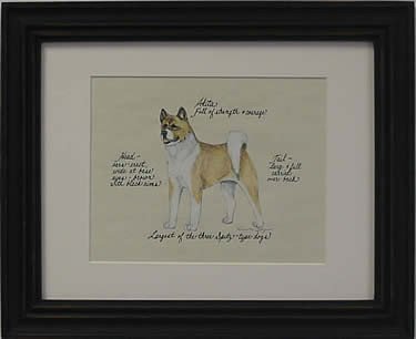 Akita