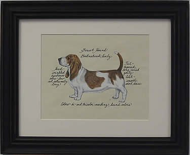 Basset Hound
