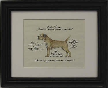Border Terrier