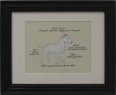 Bull Terrier