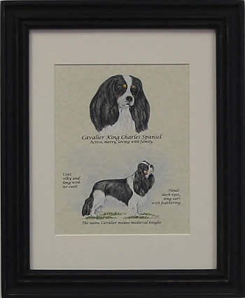 Cavalier King Charles Tri-Stack