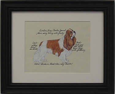 Cavalier King Charles, Blen