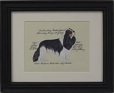 Cavalier King Charles, Tri