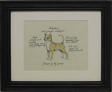 Chihuahua Short Hair Blonde