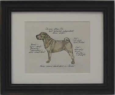 Chinese Shar Pei