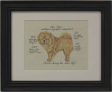 Chow Chow, Red