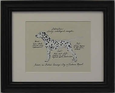 Dalmation