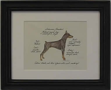 Doberman Pinscher Red