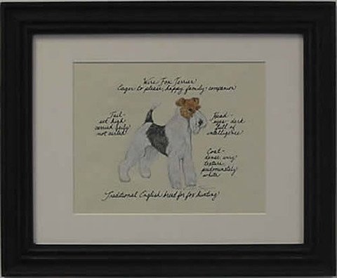 Fox Terrier, Wire Hair