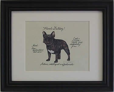French Bulldog, Brindle