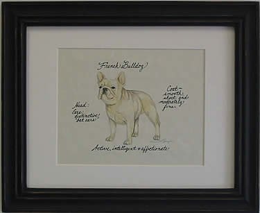 French Bulldog, Fawn