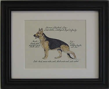 German Shepherd Dog