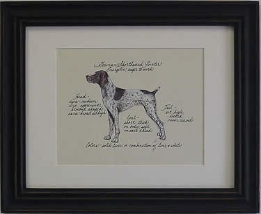 German Short Hair Pointer